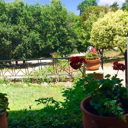 Διαμέρισμα Στην Περιοχή Εθνικής Αντίστασης Apartment Igoumenitsa Exterior photo