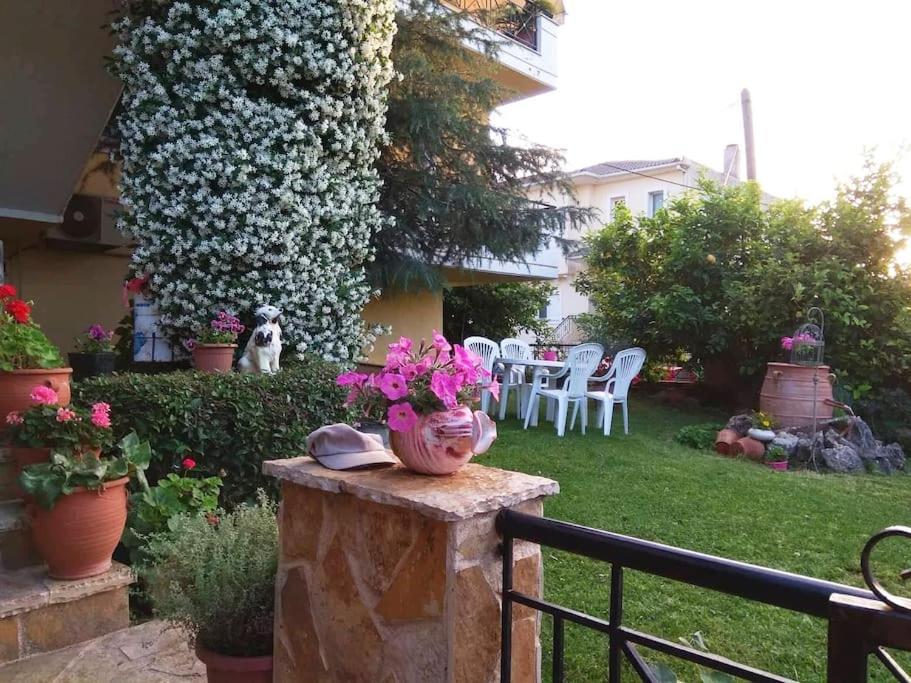 Διαμέρισμα Στην Περιοχή Εθνικής Αντίστασης Apartment Igoumenitsa Exterior photo